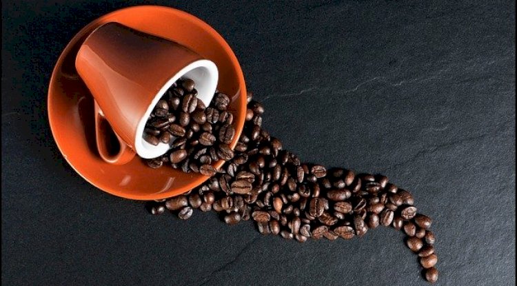 How to Choose best coffee beans