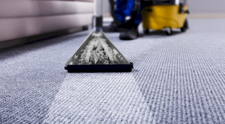 What are the top 7 reasons for a regular steam carpet clean?