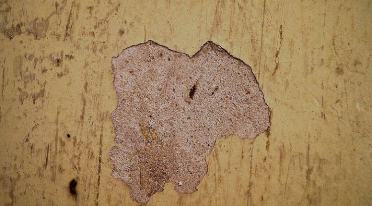 Structural Defects Found During Building Inspection