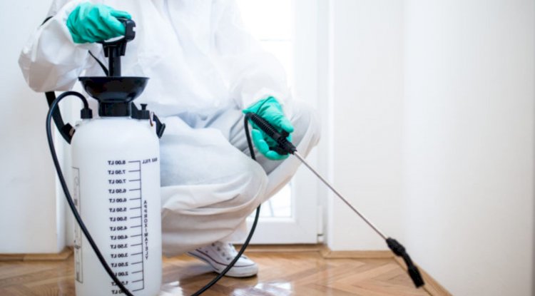 What Are The Different Benefits Of Pest Control?