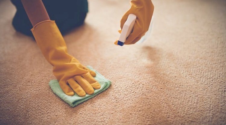 Tips New Housewives Can Bring in Use to Get Rid of Stains from Carpet