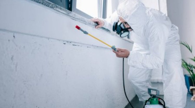 How You Can Save Yourself From Pest Control?