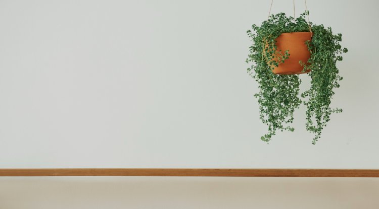 Lush and Lifelike: Creating Stunning Ambiance with Artificial Hanging Plants