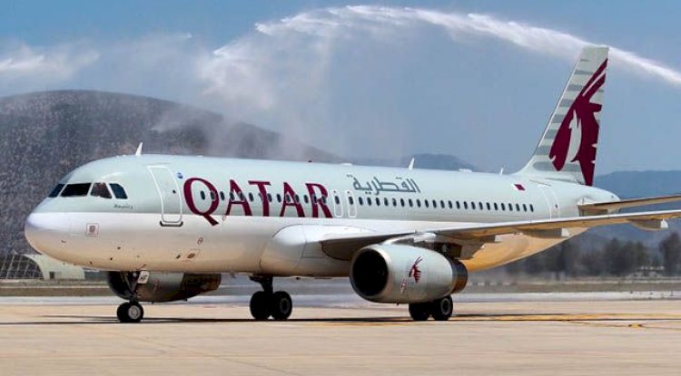 Sun Country Pet Travel Policy: Your Guide to Flying with Pets