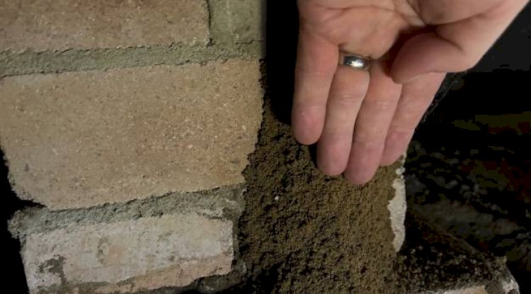 Protect Your Property: The Importance of Termite Treatment in Melbourne