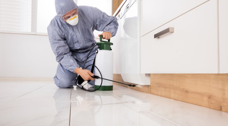 General Pest Control: Embracing Environmentally Friendly Solutions