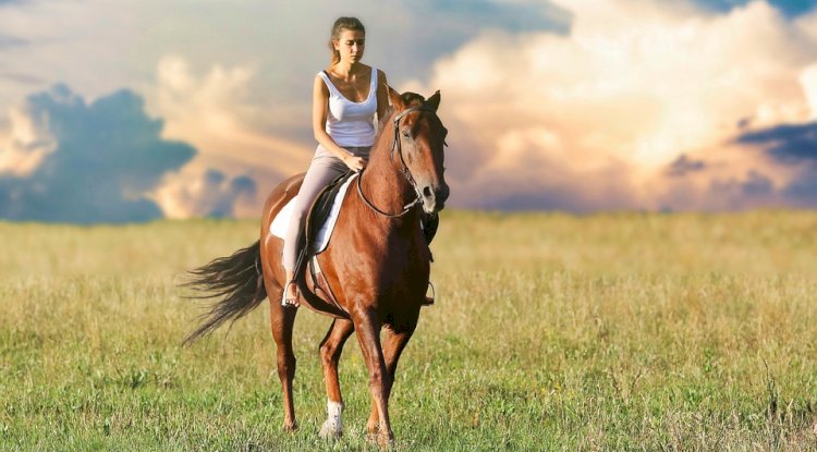 How Far Can a Horse Travel in a Day: Exploring Horse Travel