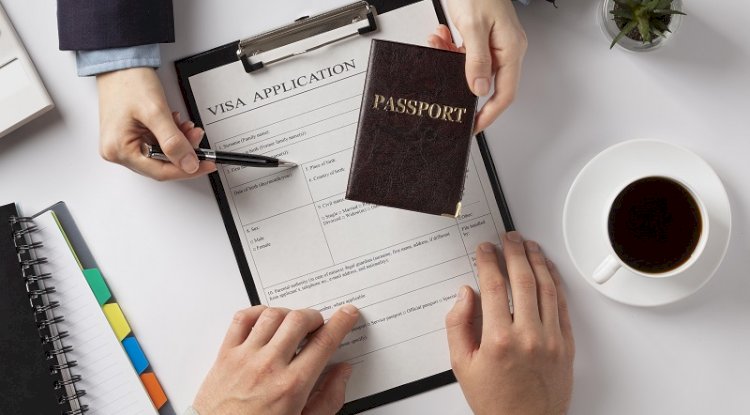 Unveiling the Migration Process: Insights from Immigration Agents