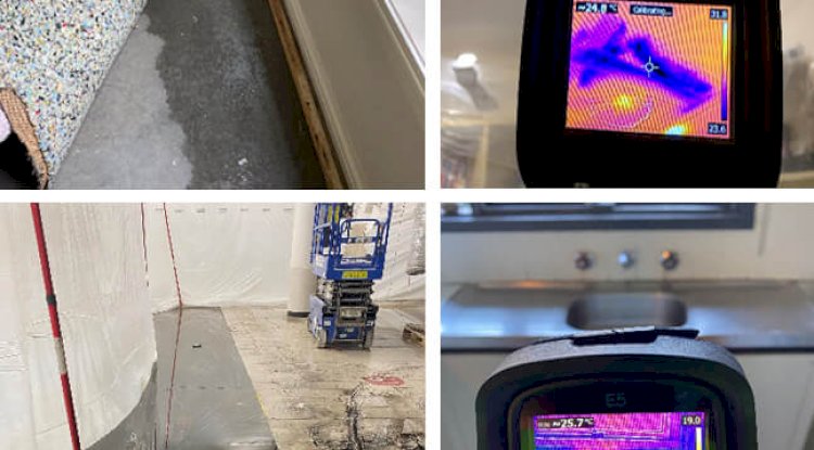 An Effective Guide to Proper Water Damage Restoration