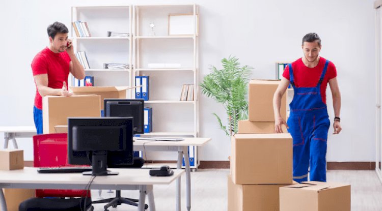 Moving During Peak Season in New Zealand: How to Plan Ahead