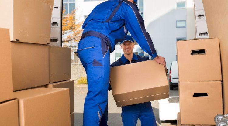 Best Removalist in Dandenong: Ultimate Guide