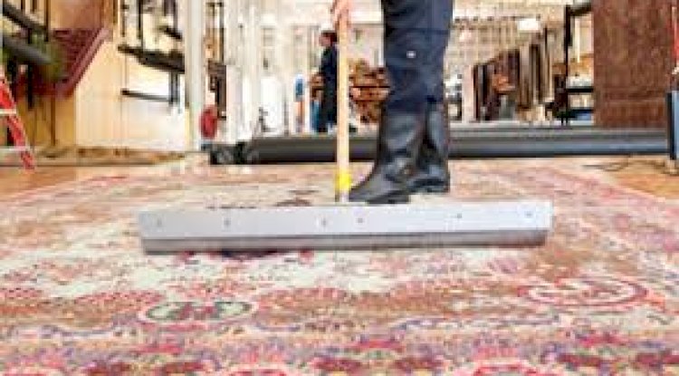 Annual Area Rug Cleaning: A Must for Brooklyn Families with Pets and Kids