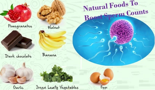 Natural Food diets to Boost Sperm Counts