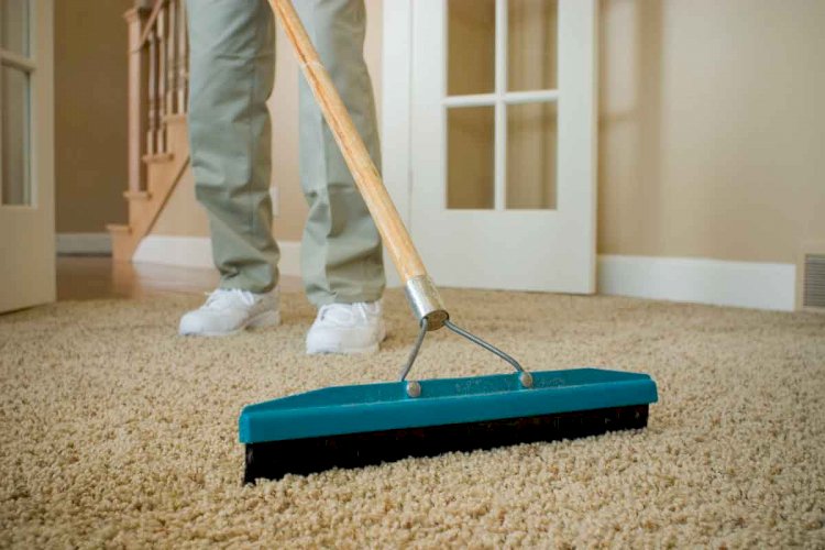 How Much Makes It Cost to Steam Clean the Rug