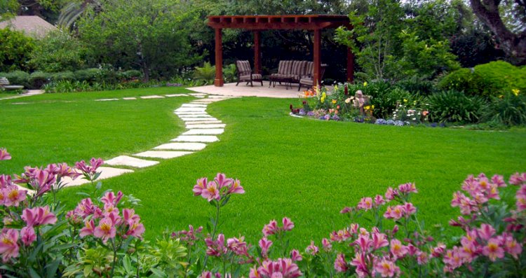 How To Care For Your New Lawn