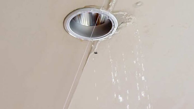 How to Spot the Common Signs of a Water Line Leak?