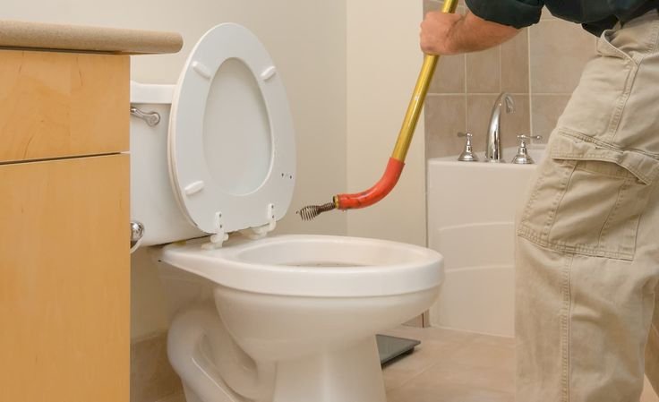 Toilet Safety Tips You Need To Know