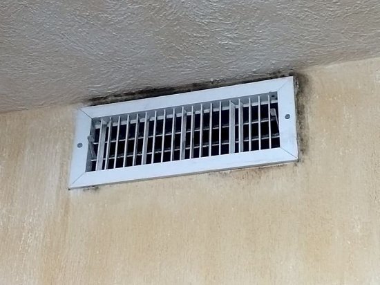 Handy Tips For Mold Removal From Ducts