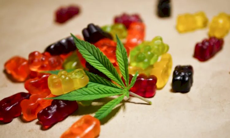 Sweet Treat: The Ultimate Guide to the Best CBD Gummies