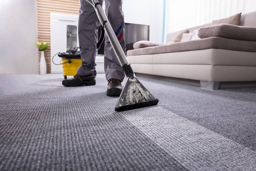 The complete beginner’s guide to carpet cleaning!