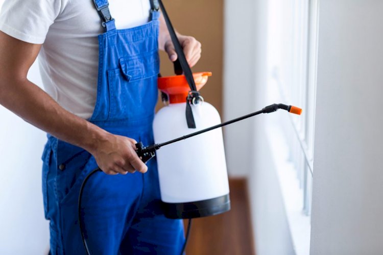 Why is it Fundamental to Hire Professional Pest Control?