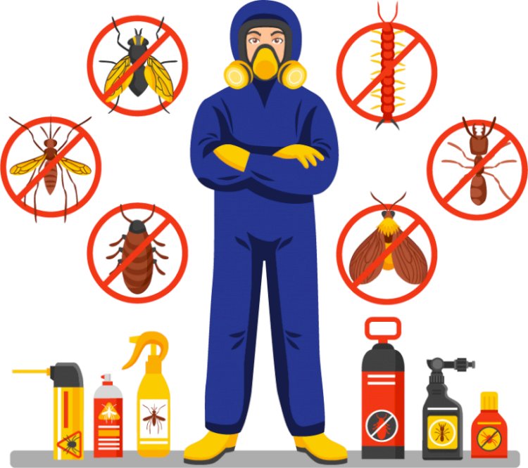 Various Types Of Harmful Pests In The House
