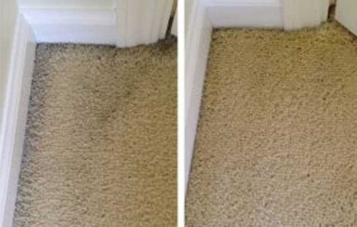 Steam Carpet Cleaning Vs Carpet Dry Cleaning