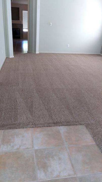Instructions To Pick Carpet For Problem Free Cleaning