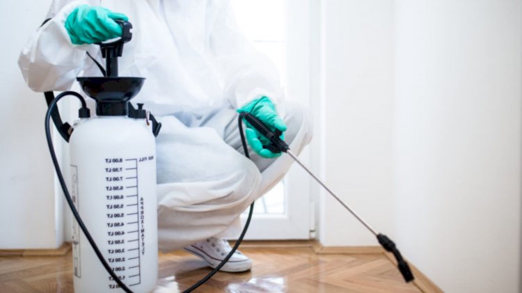 What Are The Different Benefits Of Pest Control?