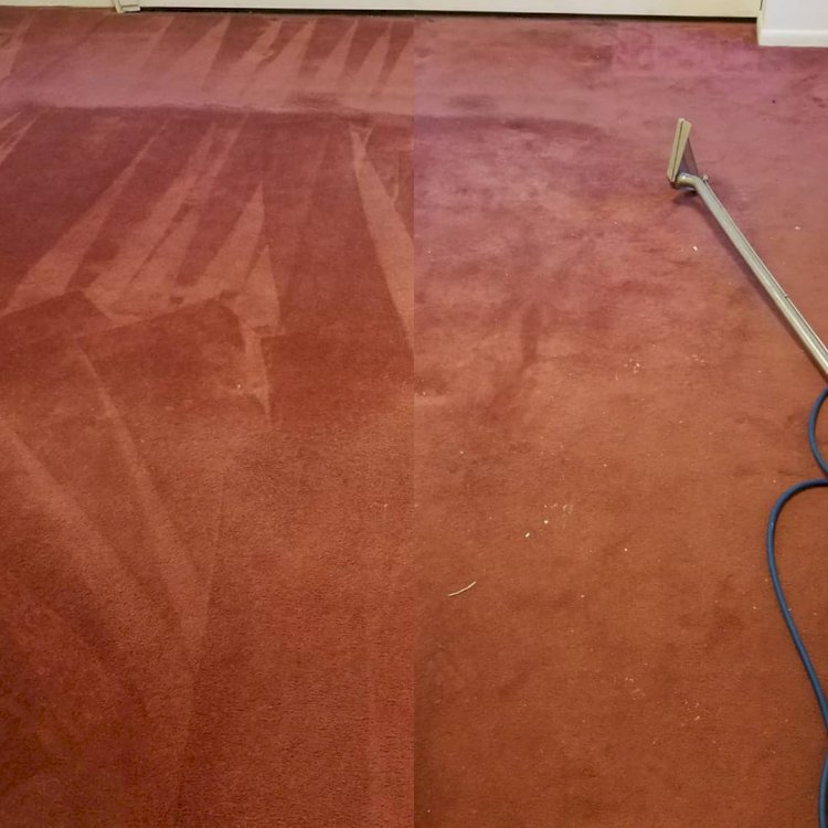 Stay Away From These Things As It Can Destroy Your Carpets
