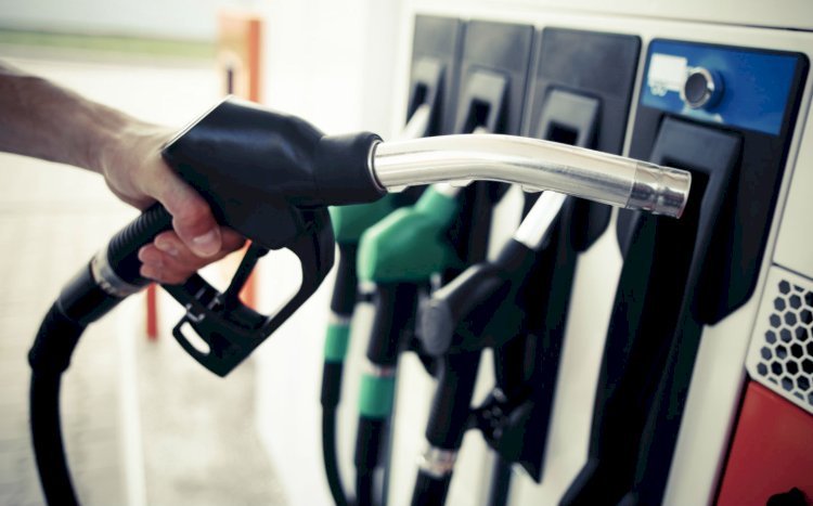 What Are the Different Types of Diesel Fuel in Brisbane