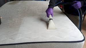 How To Remove The Moldy Pungent Odour From Your Mattress?