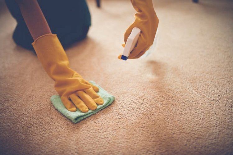 Tips New Housewives Can Bring in Use to Get Rid of Stains from Carpet