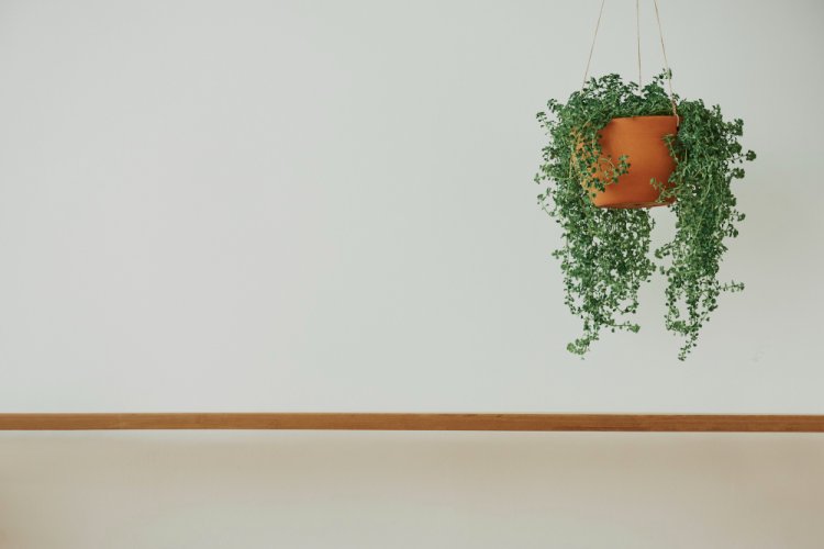 Lush and Lifelike: Creating Stunning Ambiance with Artificial Hanging Plants