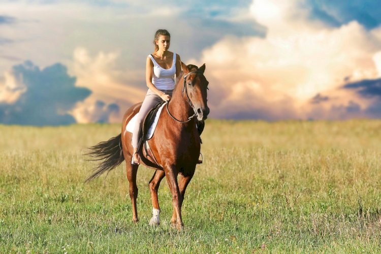 How Far Can a Horse Travel in a Day: Exploring Horse Travel