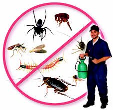 Tom's Pest Control Melbourne