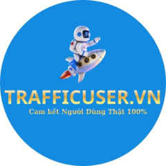 Traffic User