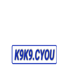 k9k9cyou
