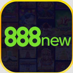 8888newtop