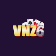 vnz6store