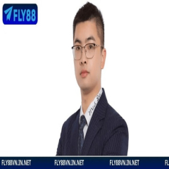 ceovincenttuanfly88com