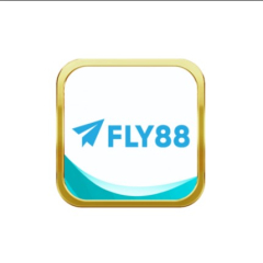 fly88foundation