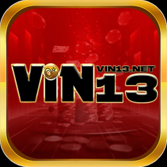 vin13net