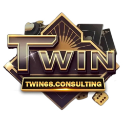 twin68consulting