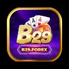b29forex