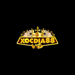 xocdiadoithuong881