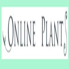 onlineplantsmel