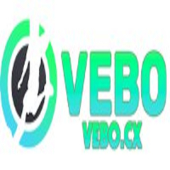 vebotructiepb