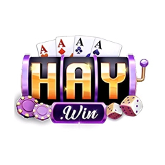 haywin88online