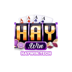 haywintech1